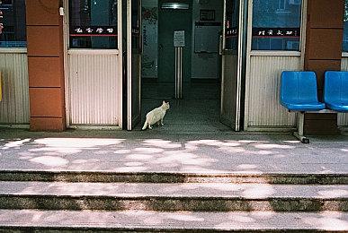 《星球大战绝地：幸存者》DLSS 2 vs FSR 2.0对比